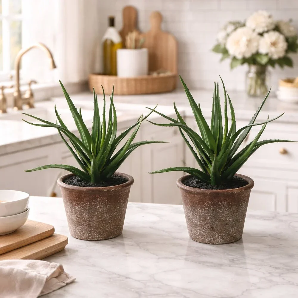Set of 2  Faux Lifelike Aloe Plant In Rustic Terracotta Pot Planter